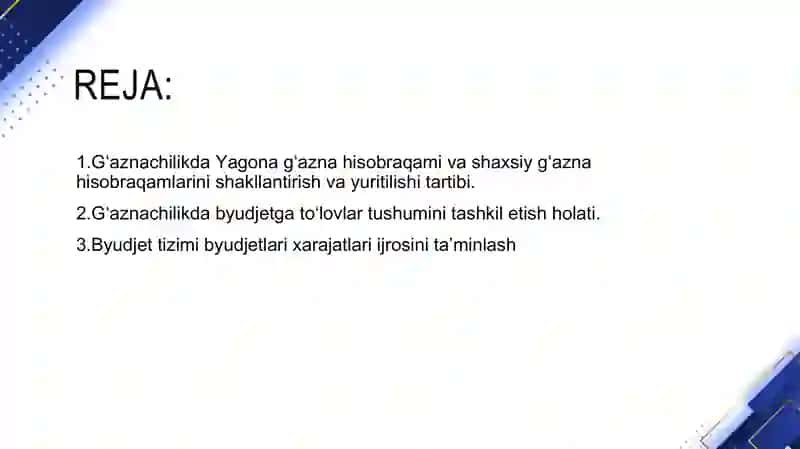 G‘aznachilik faoliyati mexanizmi. G‘aznachilik faoliyatini tashkil etishning xorij tajribalari 2