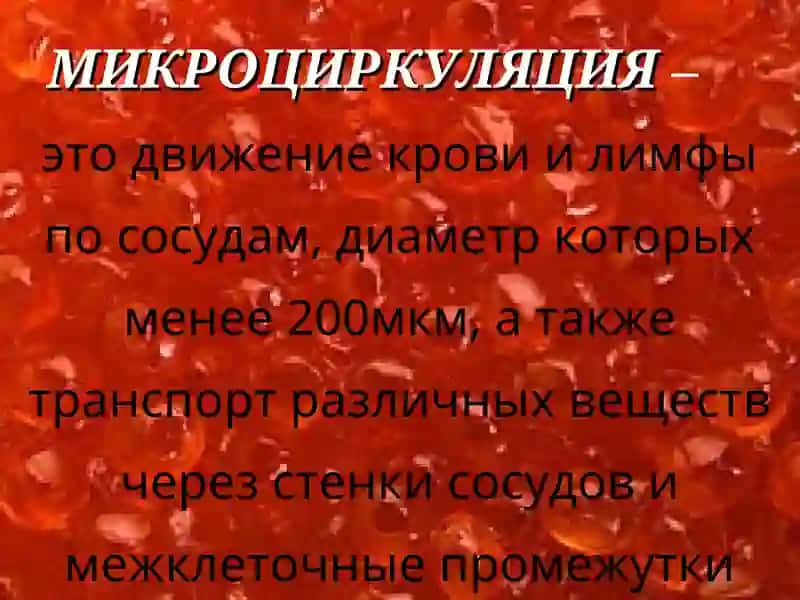 ФИЗИОЛОГИЯ МИКРОЦИРКУЛЯЦИИ. ОСОБЕННОСТИ КРОВООБРАЩЕНИЯ  В РАЗЛИЧНЫХ СОСУДИСТЫХ ОБЛАСТЯХ 2