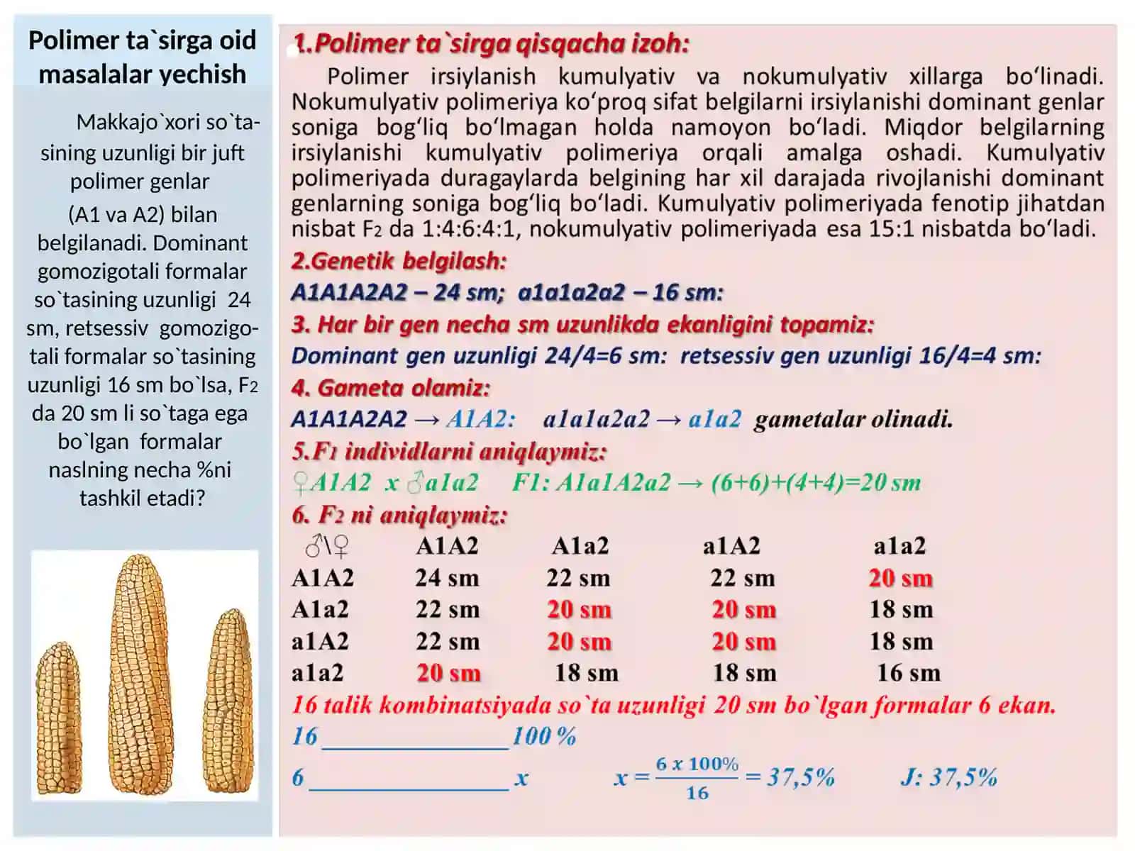 GENLARNING O`ZARO POLIMER TA`SIRLANISHIGA OID MASALALAR YESHISH 2