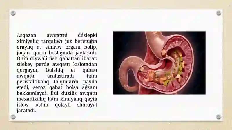 Asqazan hám isheklerde awqat sińiwi 2