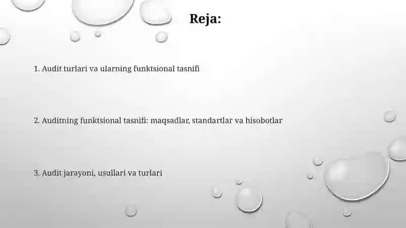 Audit turlari va funksional tasnifi 2