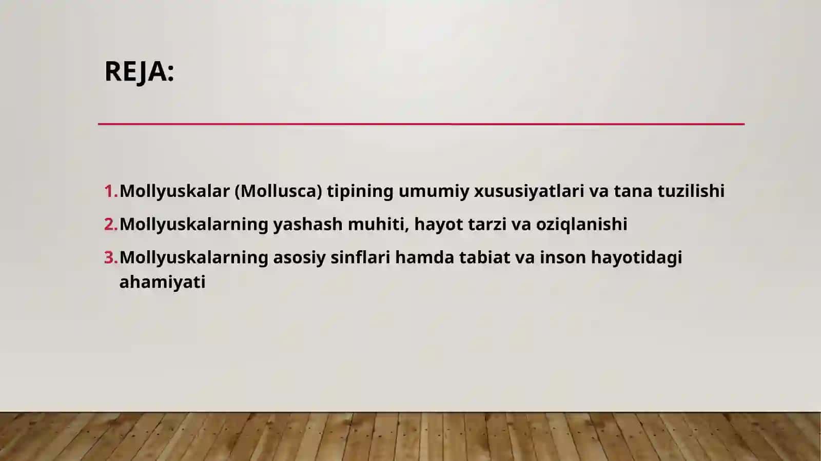 Mollyuskalar (Mollusca) tipining umumiy ta'rifi. 2