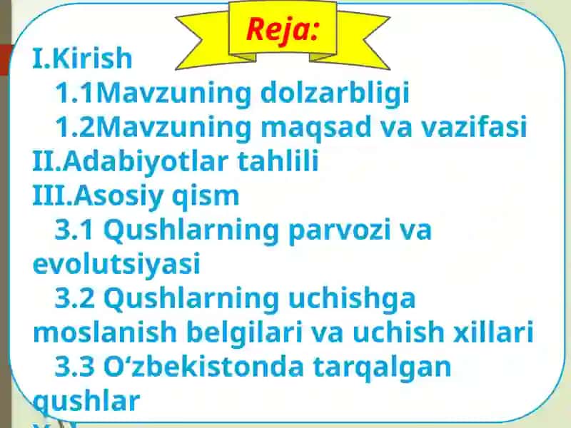 Qushlarning uchishga moslashish belgilari va uchish xillari 2