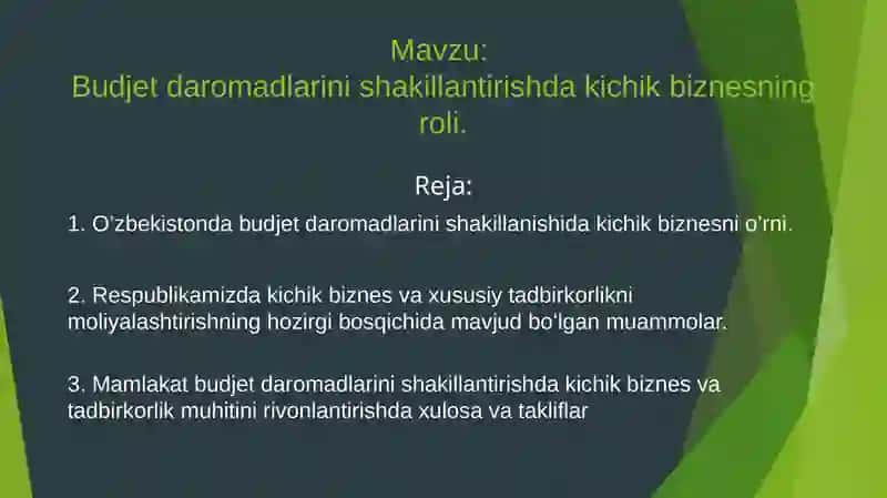 Budjet daromadlari nishaklantirishda kichik biznesning roli 2