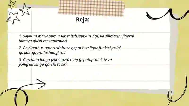 Jigar va buyrak kasalliklarida qoʻllaniladigan dorivor oʻsimliklar 2