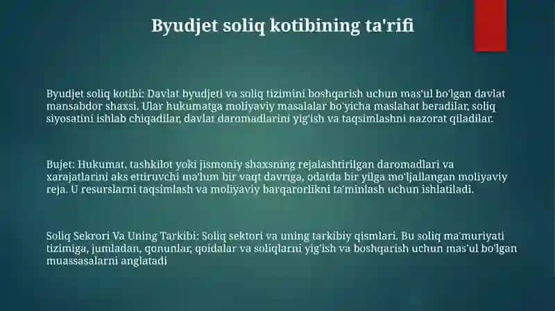 Bujet Soliq Sektori Va Uning Tarkibi 2