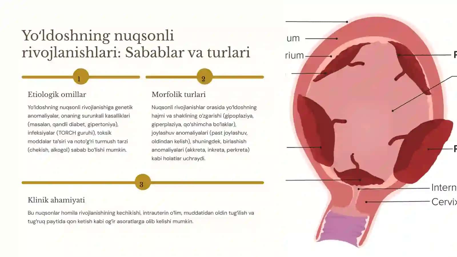 Yoʻldosh patologiyasi va oʻta xavfli infeksiyalar: Umumiy koʻrinish 2
