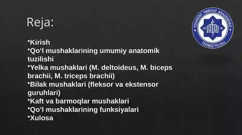 Qo‘l mushaklarining tuzilishi va anatomik nomlari 2