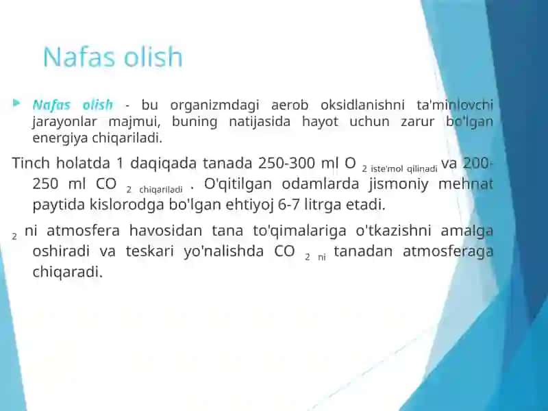 Nafas olish funktsiyasini o'rganishning patofiziologik asoslari 2
