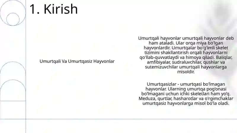 Umurtqali Va Umurtqasiz Hayvonlarni Rivojlanishi 2