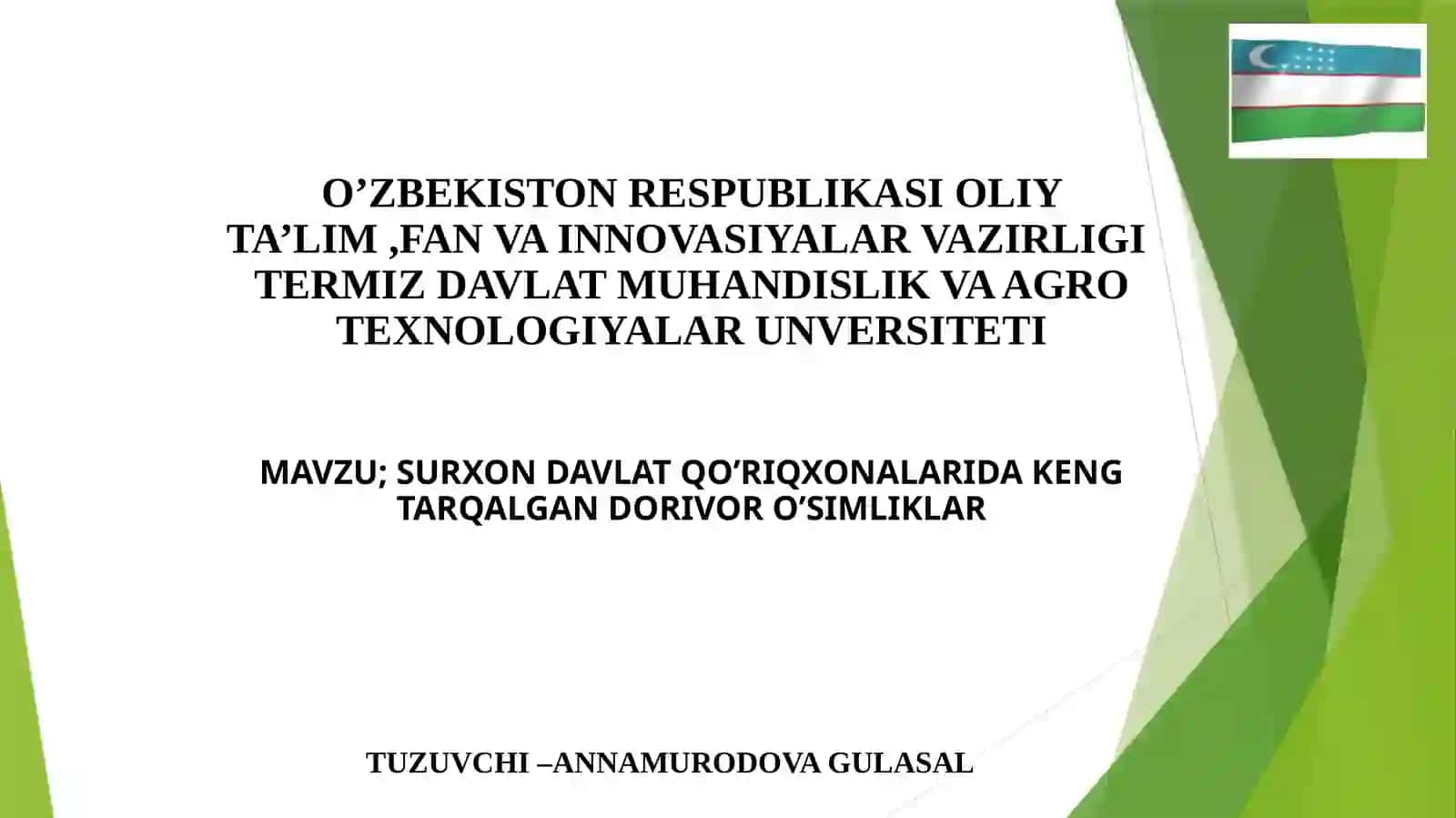 SURXON DAVLAT QO’RIQXONALARIDA KENG TARQALGAN DORIVORO’SIMLIKLAR 2