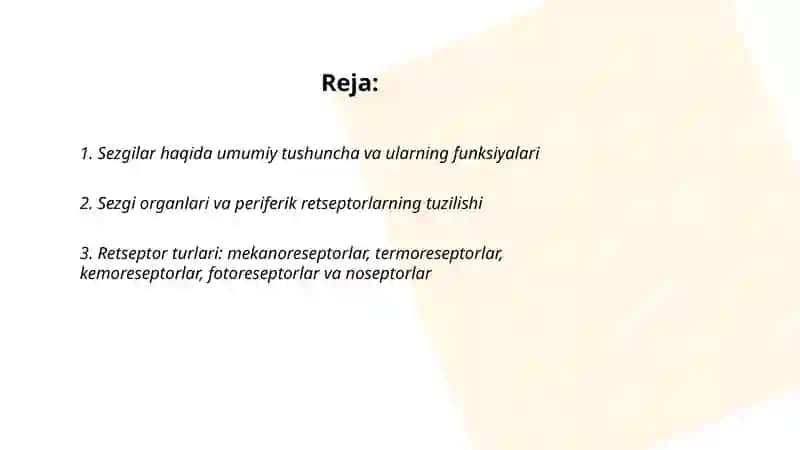 Sezgilar haqida umumiy tushuncha va uning nerv-fiziologik asoslari 2