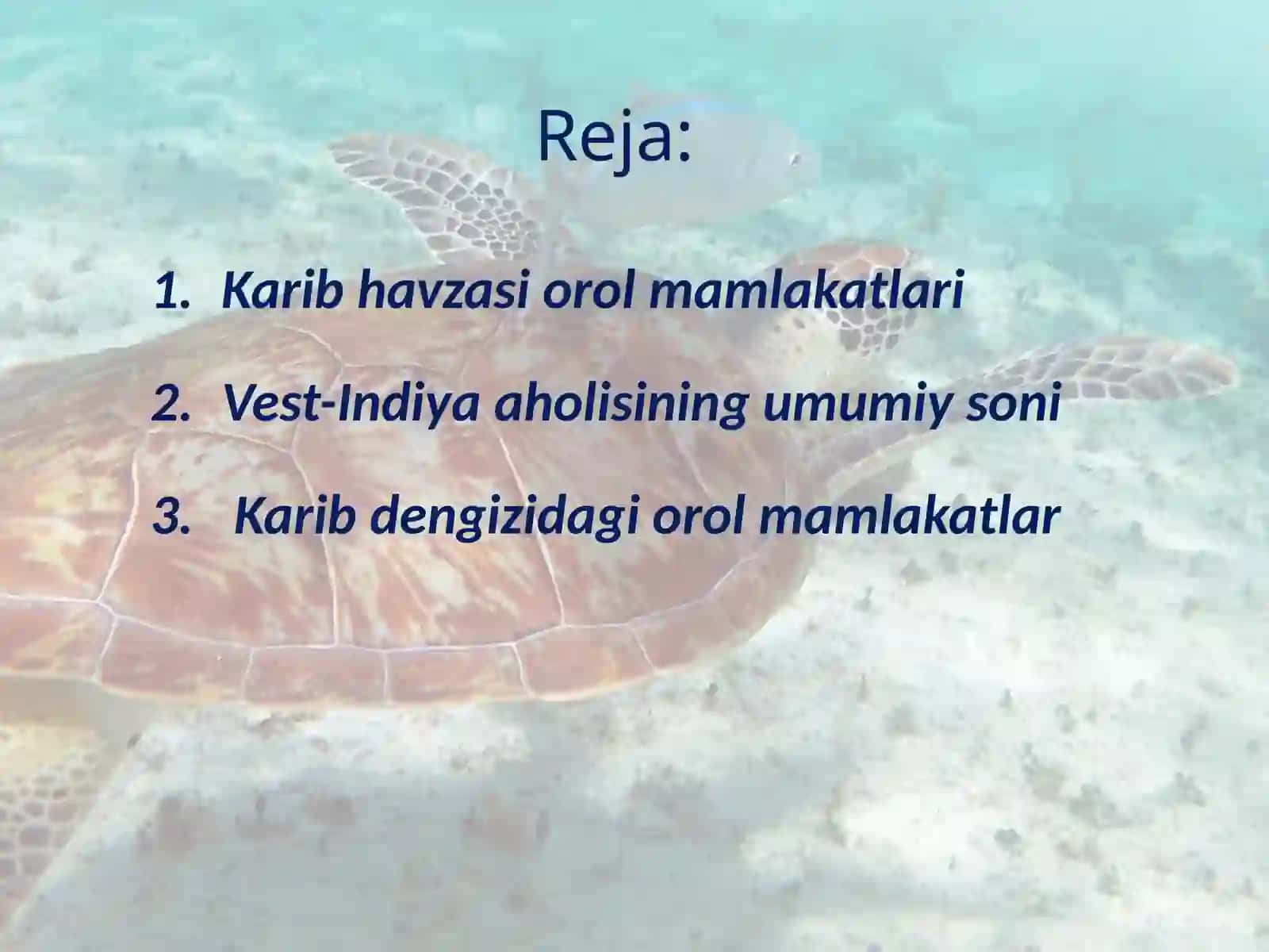 Karib havzasi orol mamlakatlari 2