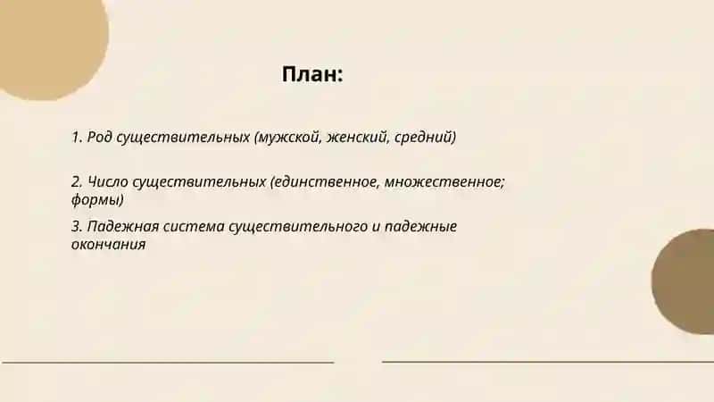 Лексико-грамматические разряды существительных 2
