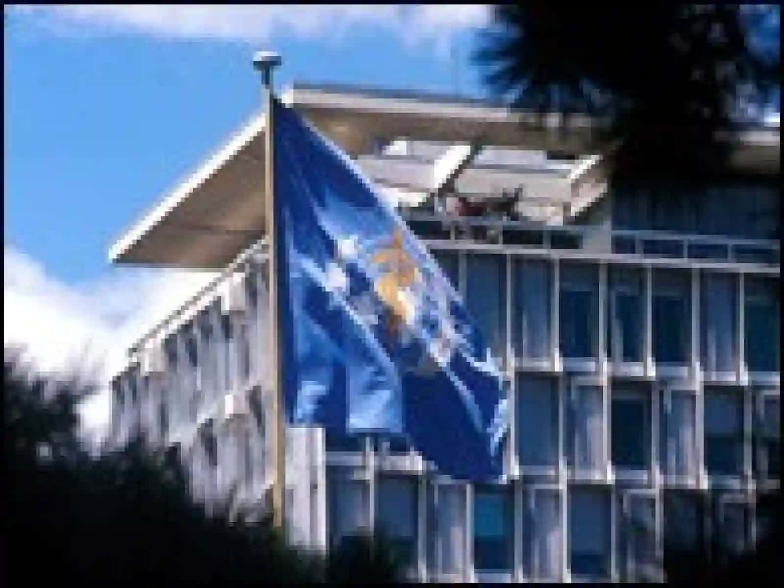 World Health Organization(WHO) 2