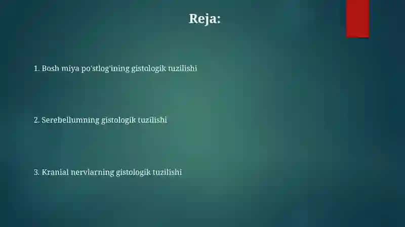 Bosh miya.po‘stloq.miyacha.bosh miya nervlari gistalogiyasi 2