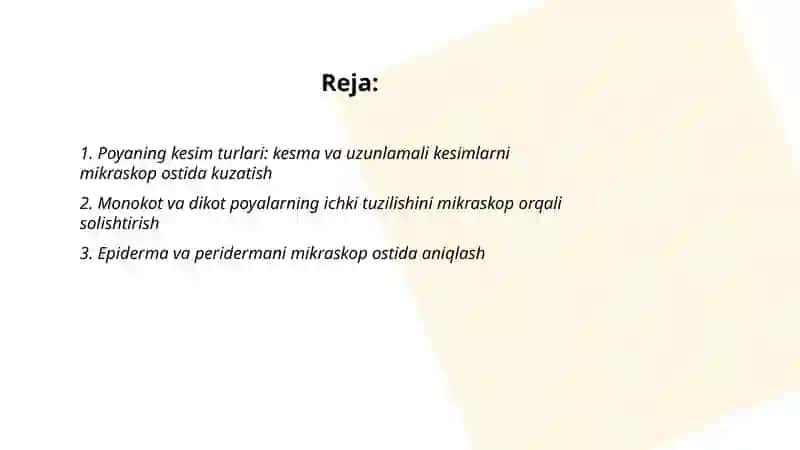 Poyaning ichki tuzilishini mikraskop ostida kuzatish 2