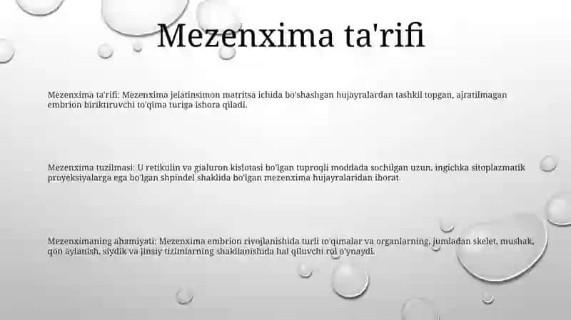 Mezenximaning Tuzilishi Va Ahamiyati 2