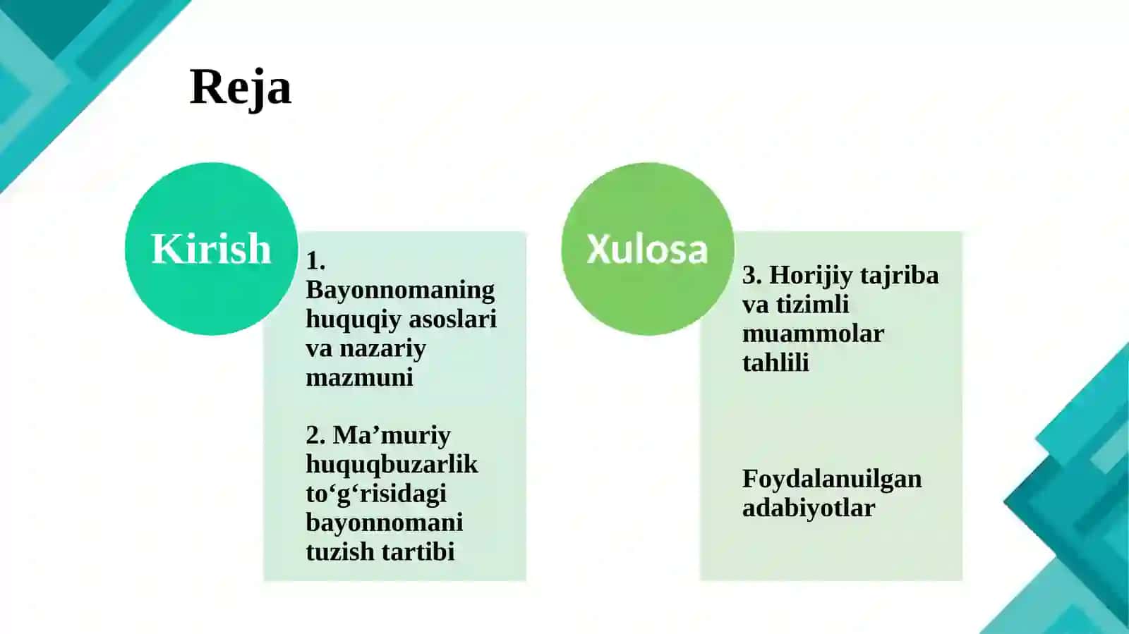 Ma’muriy huquqbuzarlik to’g’risidagi bayonnoma 2