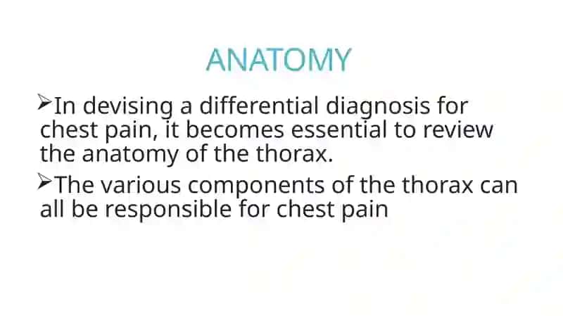 The chest 2
