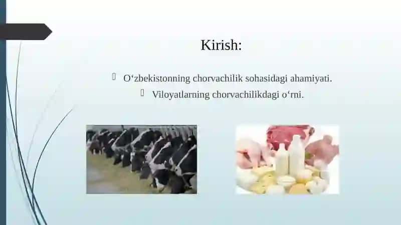 MULTIMEDIK KARTOGRAFIYA 2