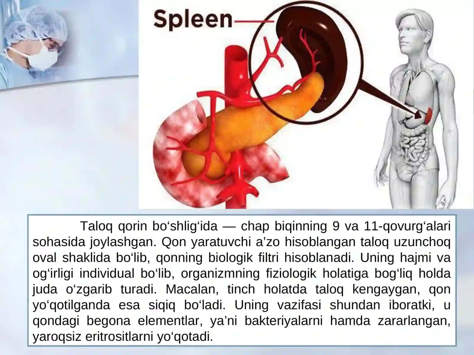 Taloqning tug‘ma anomaliyalari o‘smalari. Timusning rivojlanishidagi buzilishlar 2
