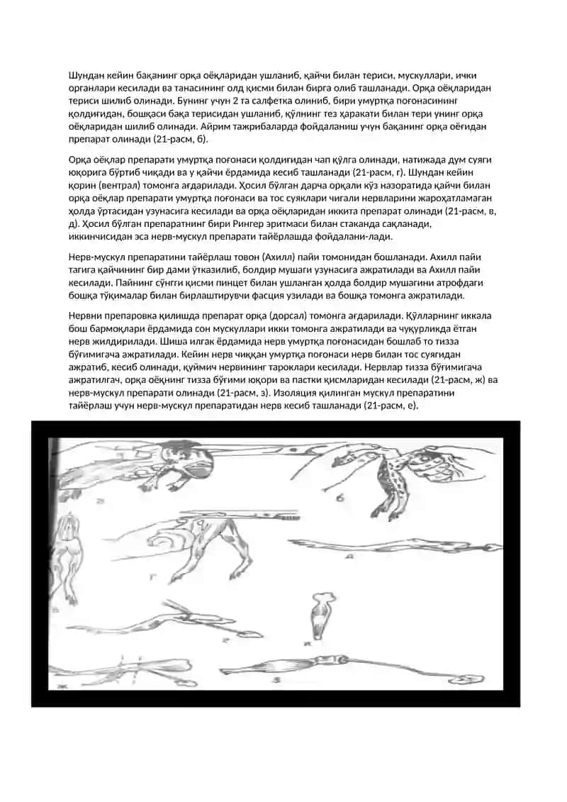 Нерв-мускул препаратлари 2