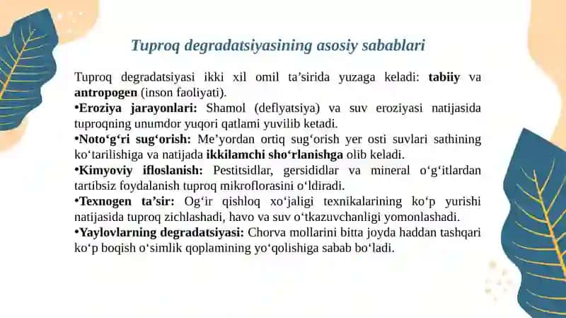 Tuproqdegradatsiyasi:sabablari,oqibatlarivaqarshikurashchoralari 2