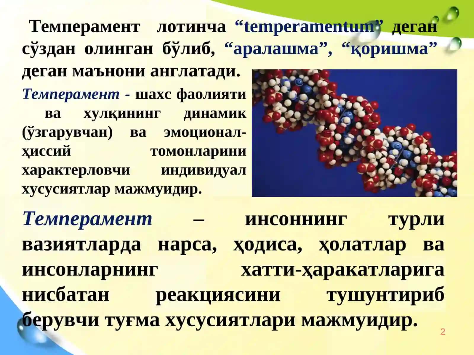 ШАХСНИНГ ИНДИВИДУАЛТИПОЛОГИК ХУСУСИЯТЛАРИ 2