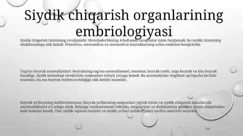 Siydik Ayiruv A'Zolarining Rivojlanish Nuqsonlari 2