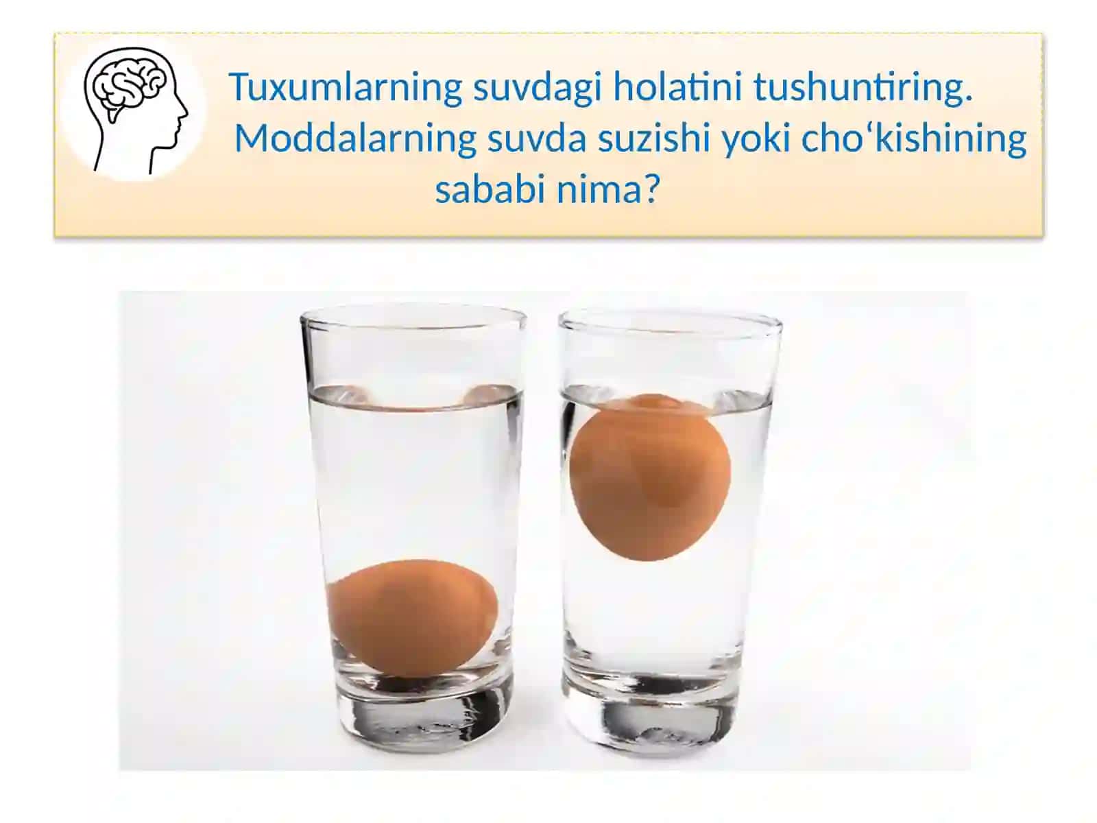 MODDA ZICHLIGI 2