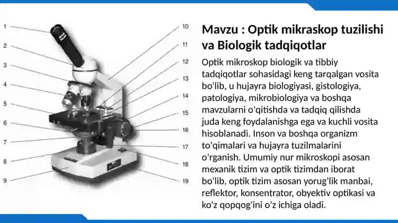 Optik mikraskop tuzilishi va Biologik tadqiqotlar 2