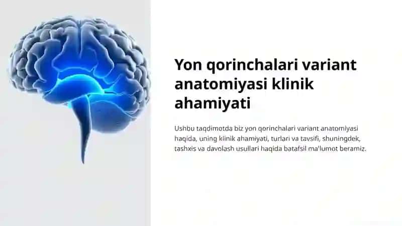 Yon qorinchalari variant anatomiyasi 2