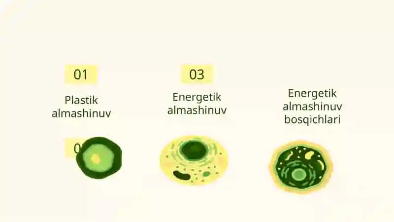 Moddalar Almashinuvi 2