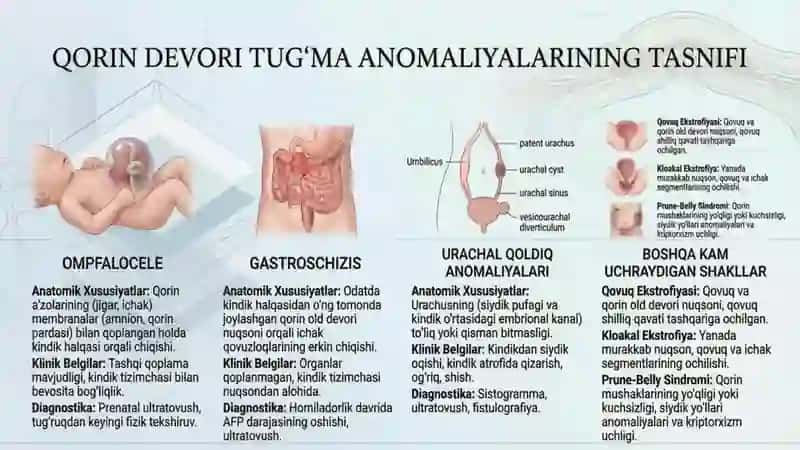 Qorin devori tug'ma anomaliyalarining topografik anatomiyasi va operatsiyalari kindik tizimchasi 2