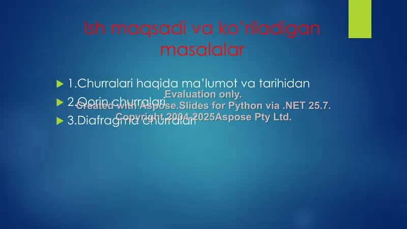 Qorin bo’shlig’I ichki churralari 2
