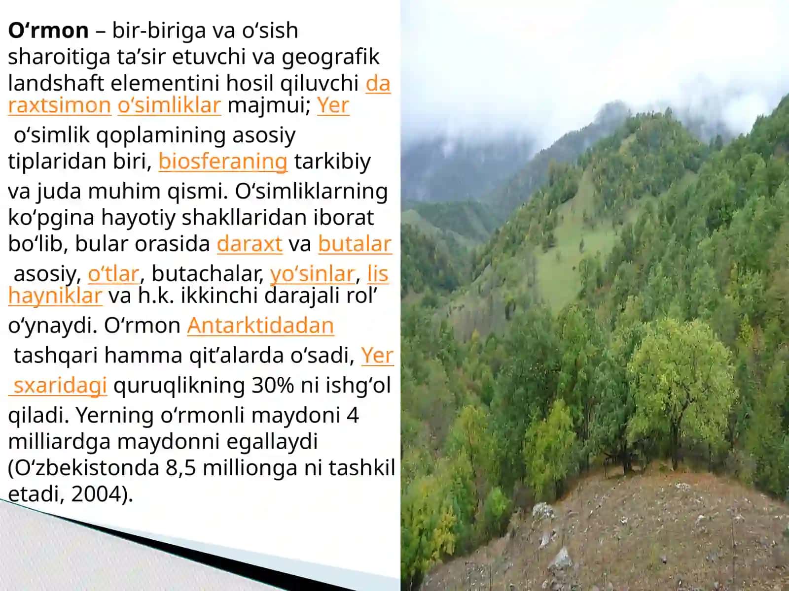 Agrobiologiya Dorivor o’simliklar yetishtirish va qayta ishlash yo’nalishi 2