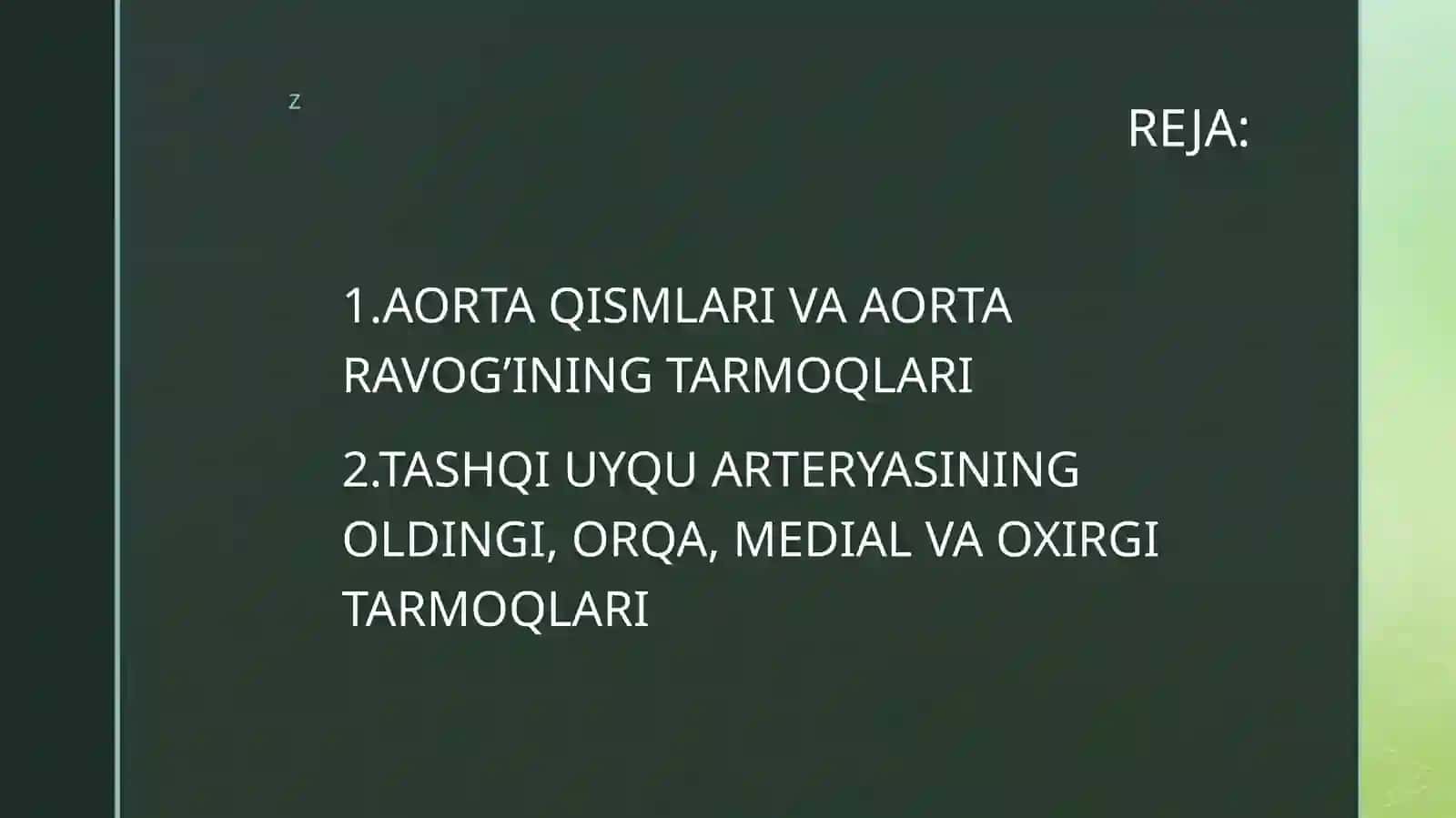 AORTA RAVOG’I, UMUMIY VA TASHQI UYQU ARTERYASI 2