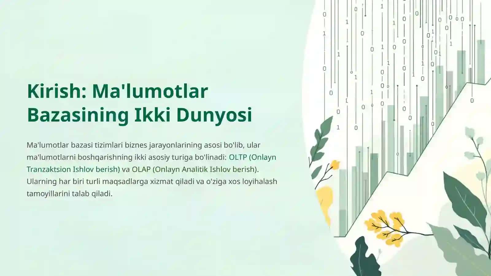 OLTP va OLAP Ilovalarni Loyihalash: Xususiyatlar va Farqlar 2