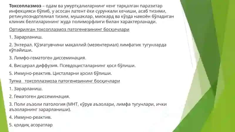 ТОRCH    инфексияси 2