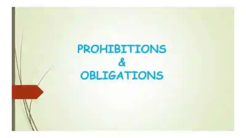 Expressing obligation/prohibition/absence of necessity in English 2