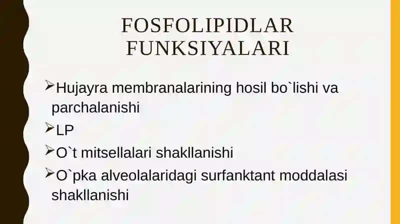 fosfolipidlar almashinuvi buzilishi 2