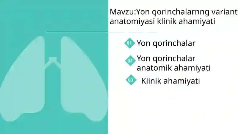 Yonqorinchalar anatomiyasi 2