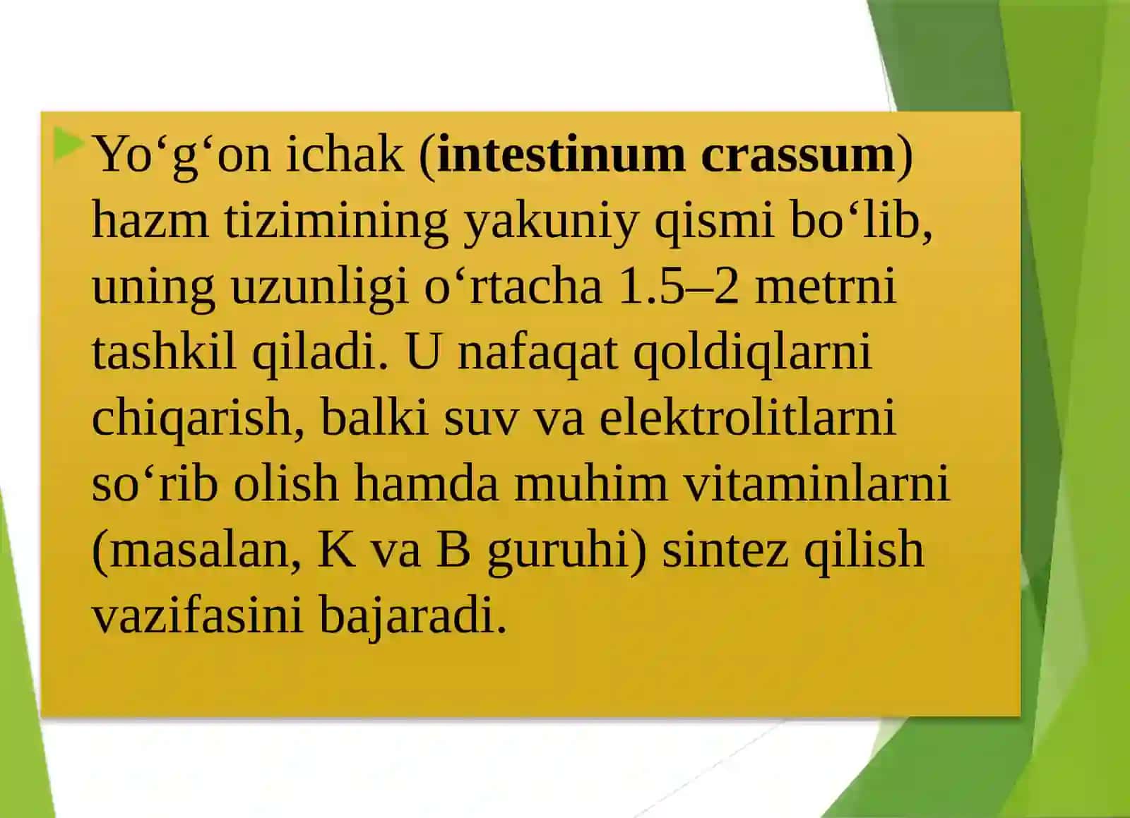 YO‘G‘ON ICHAK QISMLARI 2
