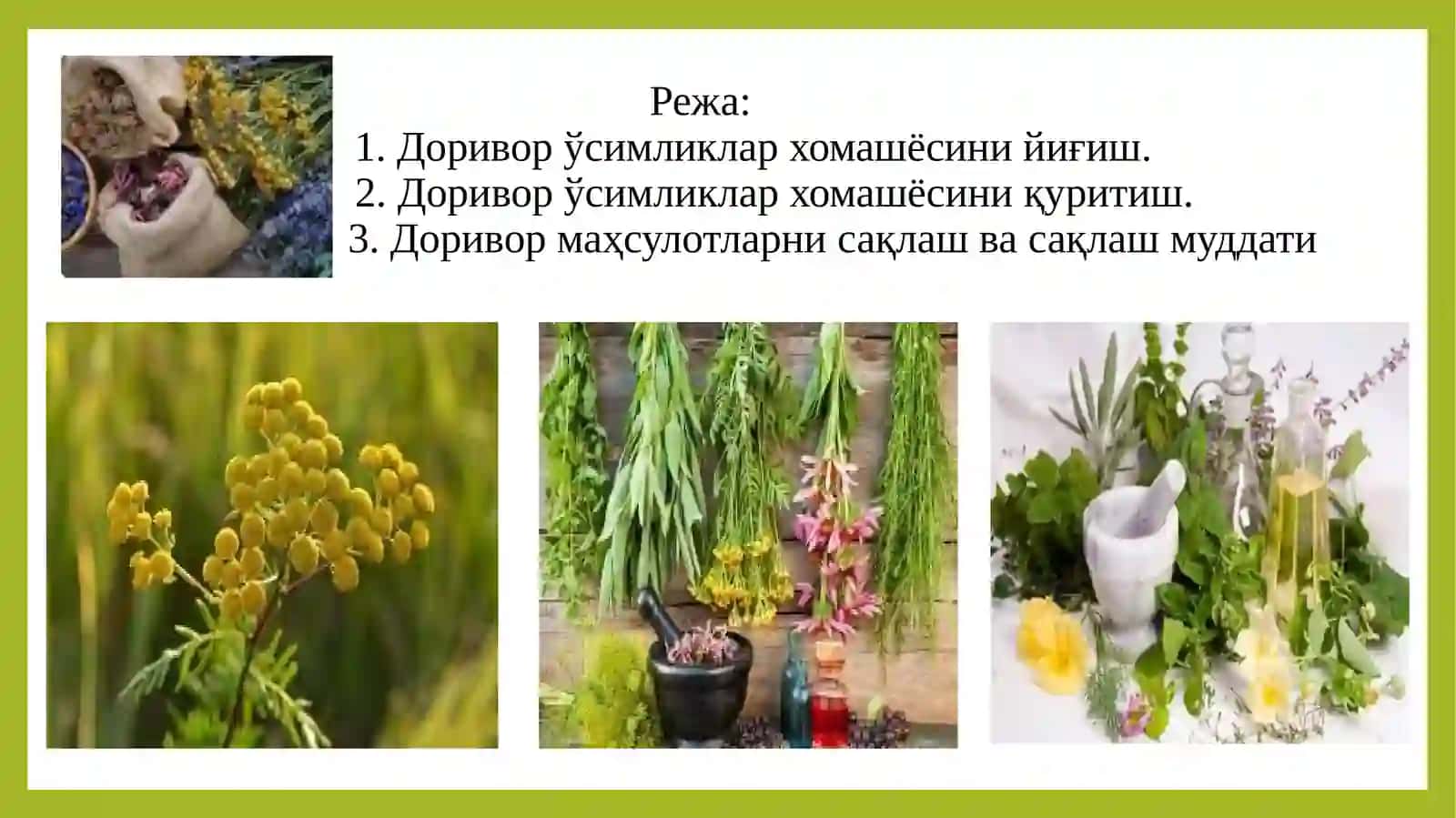 ДОРИВОРЎСИМЛИКЛАРХОМАШЁСИНИ ИШЛАТИШГАТАЙЁРЛАШ 2