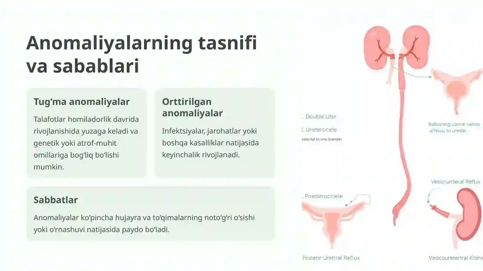 Ajratish sistemasining anomaliyalari 2