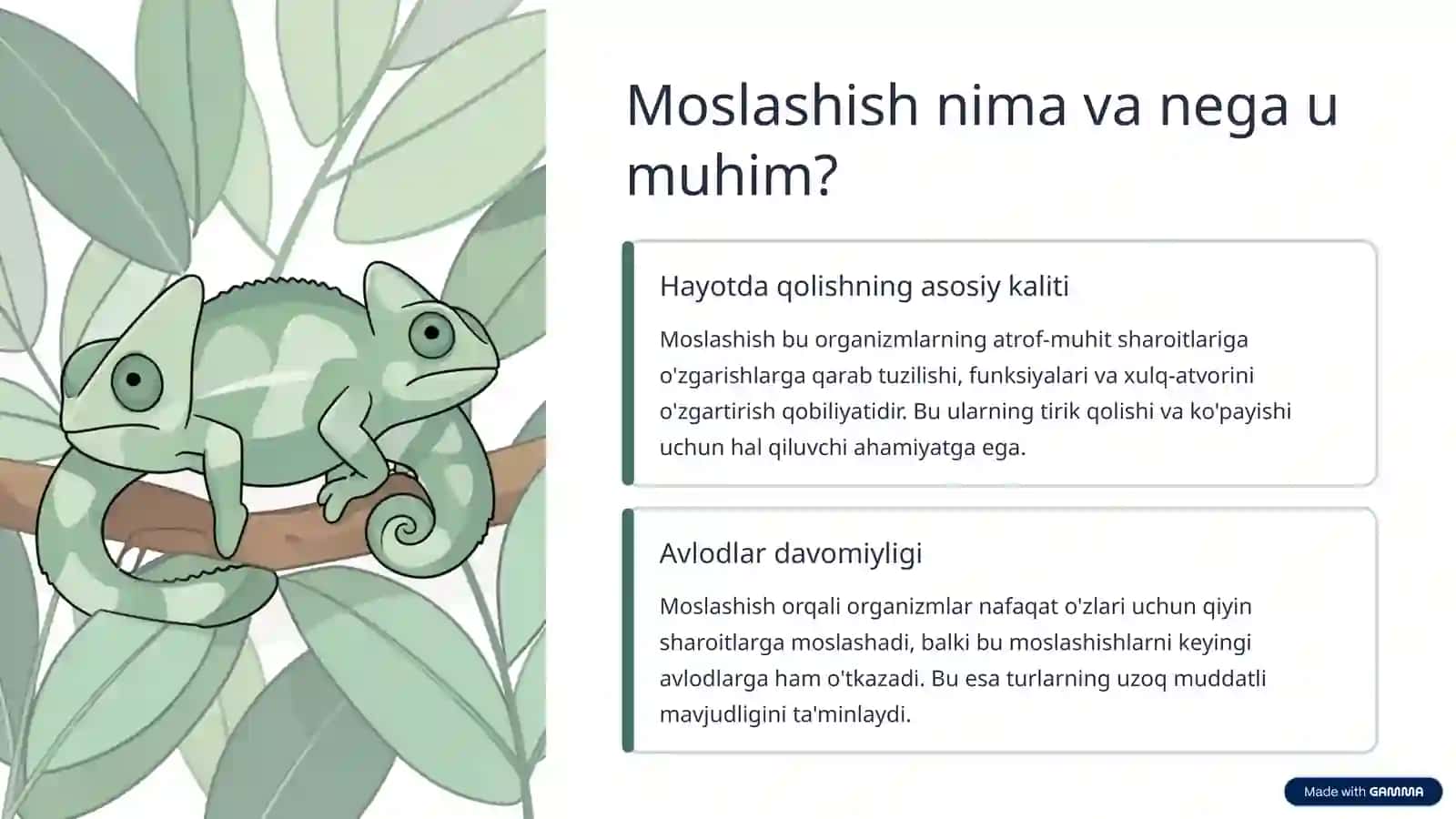 Organizmning moslashishi va uning bosqichlari 2