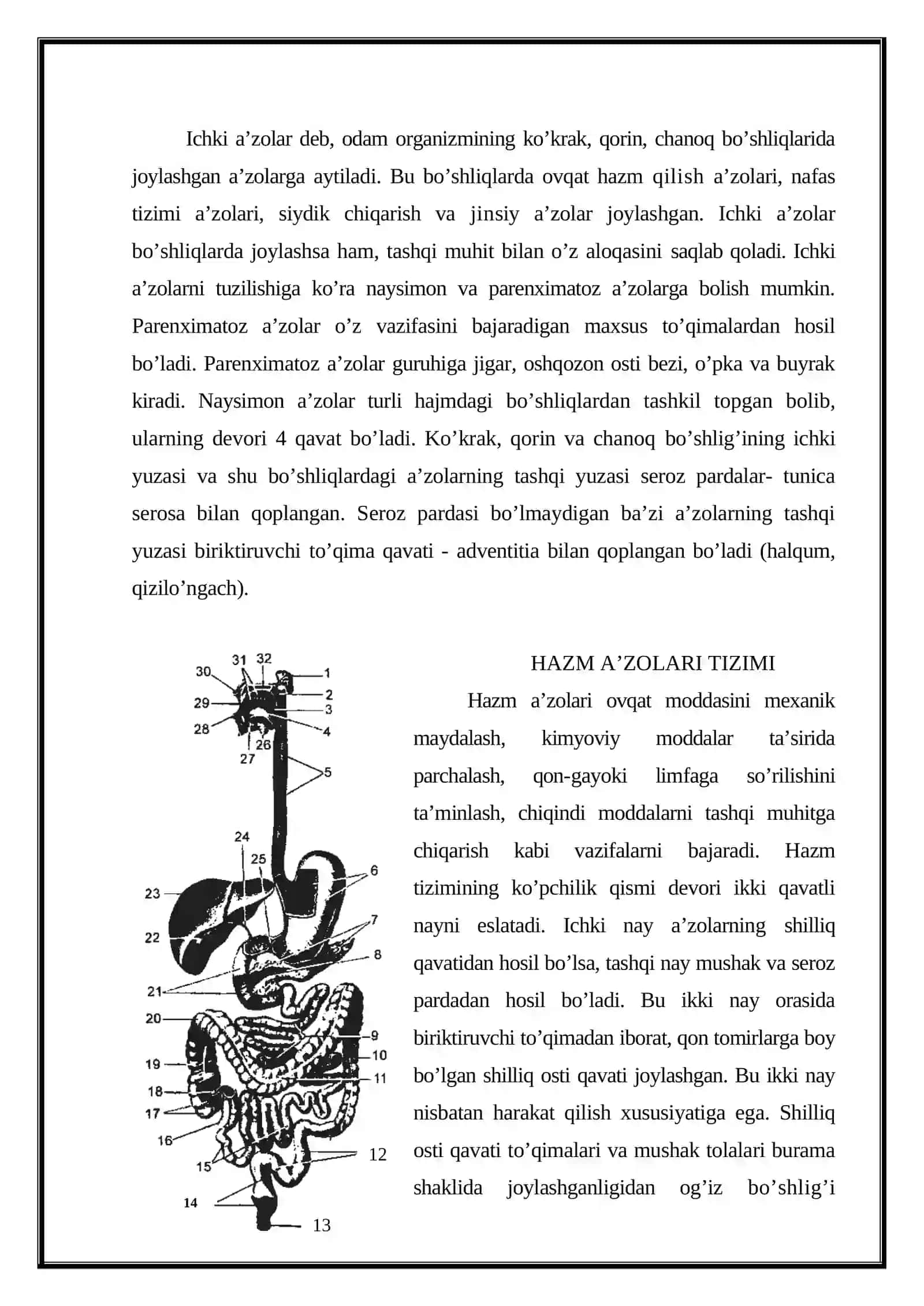 Ovqat xazm qilish fiziologiyasi 2