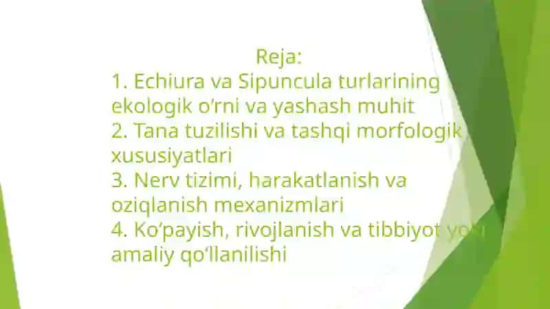 Echiura va Sipuncula turlarining ekologik o‘rni va yashash muhit 2