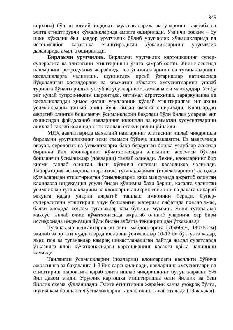 Картошка Уруғчилиги 2